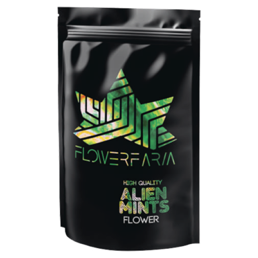 image 2026 03 12T084238.536